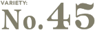 no.45